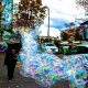 Bubbles on Parade