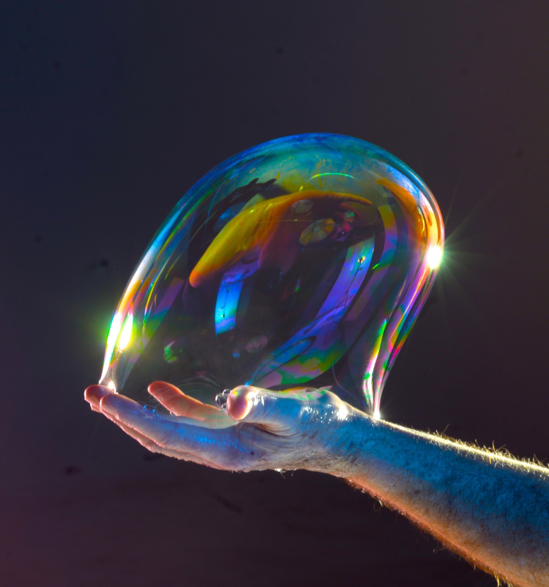 Steve Langley - Bubbleologist