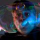 Steve Langley - Bubbleologist